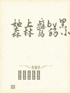 她上瘾by黑暗森林写的小说免费阅读无弹窗封面