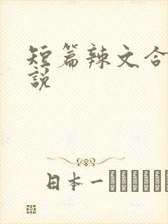 短篇辣文合集小说