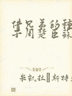 借兄弟的种生孩子周楚臣苏糖封面