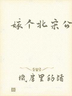 嫁个北宋公务员