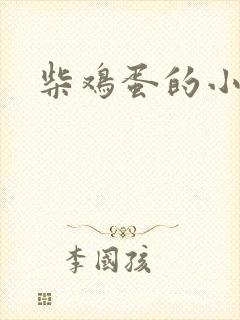 柴鸡蛋的小说封面