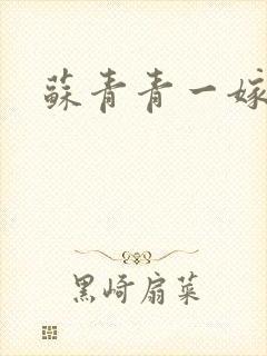 苏青青一嫁三夫