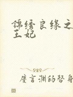 锦绣良缘之北地王妃封面