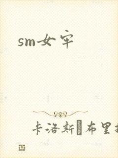 sm女牢