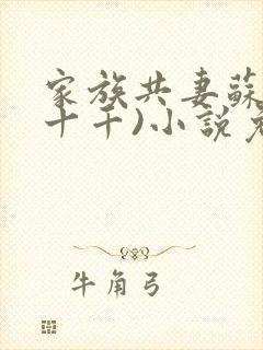 家族共妻苏苏(十千)小说免费