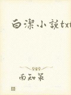 白洁小说txt