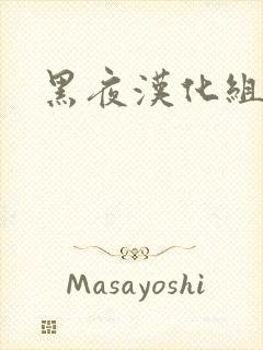黑夜汉化组封面