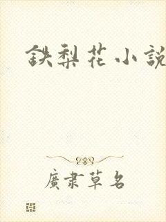 铁梨花小说封面