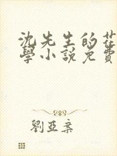 沈先生的花式教学小说免费