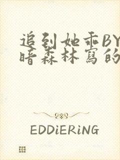 追到她乖BY黑暗森林写的小说封面