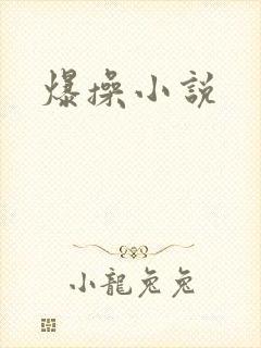 爆操小说