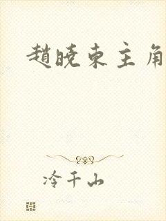 赵晓东主角小说封面