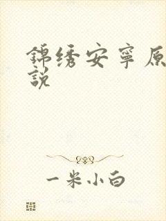 锦绣安宁原著小说