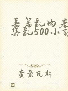 长篇乱肉老师合集乱500小说封面