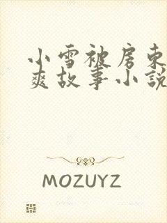 小雪被房东的好爽故事小说封面