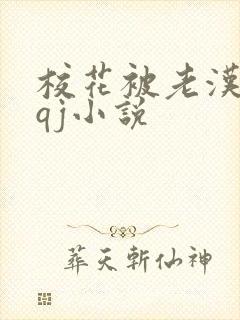 校花被老汉狂肉qj小说封面