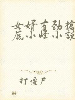 女婿有劲枪枪到底小峰小说