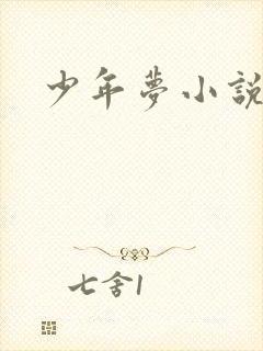 少年梦小说封面