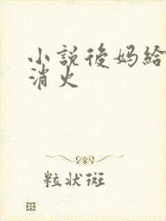 小说后妈给我消消火