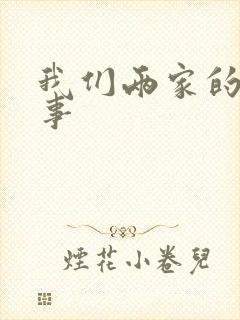我们两家的荒唐事封面