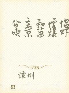 公主和僧侣 爱吃京葱爆虾的当归封面