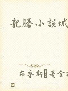 龙腾小说城