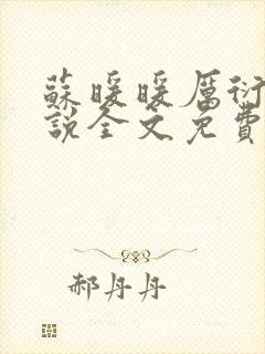 苏暖暖厉衍琛小说全文免费阅读