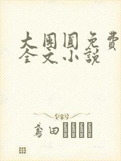 大团圆免费阅读全文小说