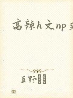 高辣h文np爽封面