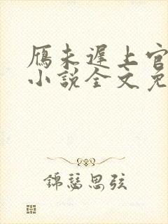 雁未迟上官穿越小说全文免费阅读