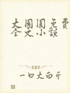 大团圆免费阅读全文小说封面