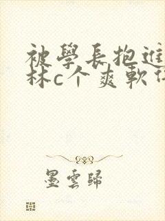 被学长抱进小树林c个爽软件封面