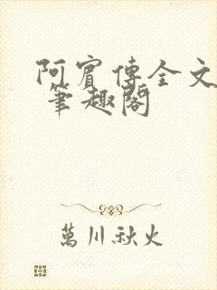 阿宾传全文阅读 笔趣阁