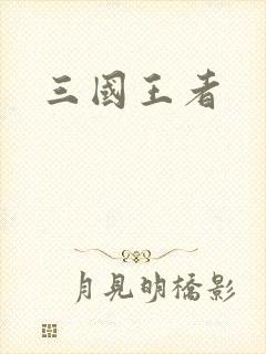 三国王者