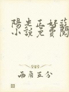 阳光正好苏玥玥小说免费阅读无弹窗