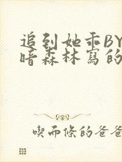 追到她乖BY黑暗森林写的小说