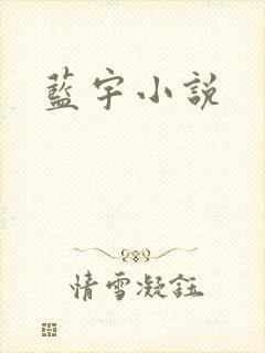 蓝宇小说