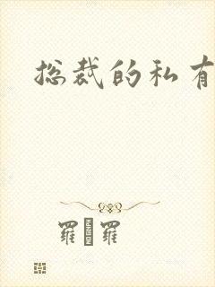 总裁的私有宝贝