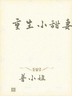 重生小甜妻封面