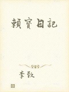 赖宝日记封面