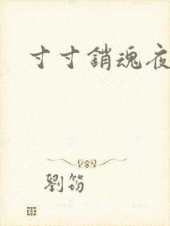 寸寸销魂夜春光