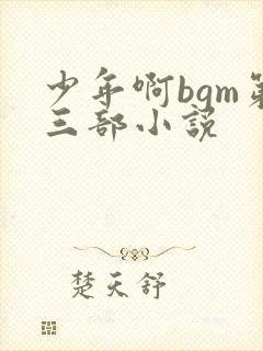 少年啊bgm第三部小说