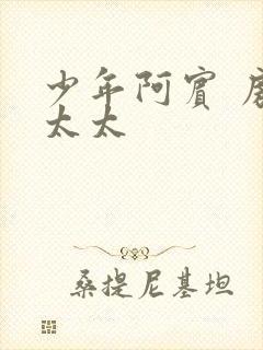 少年阿宾 房东太太