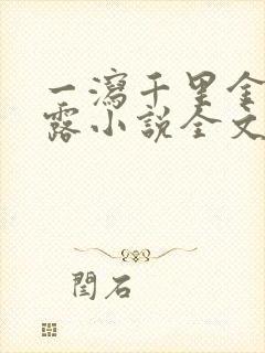 一泻千里金银花露小说全文免费阅读