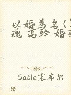 以婚为名 (军魂 高干 婚恋)