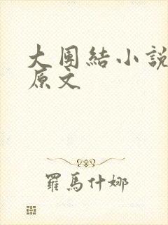 大团结小说阅读原文