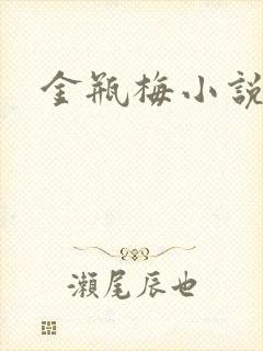金瓶梅小说封面