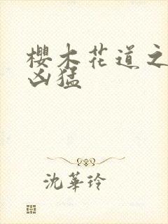 樱木花道之重生凶猛