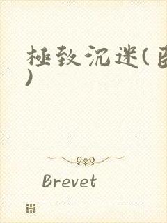 极致沉迷(臣年)