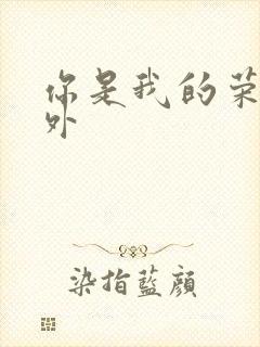 你是我的荣耀番外封面